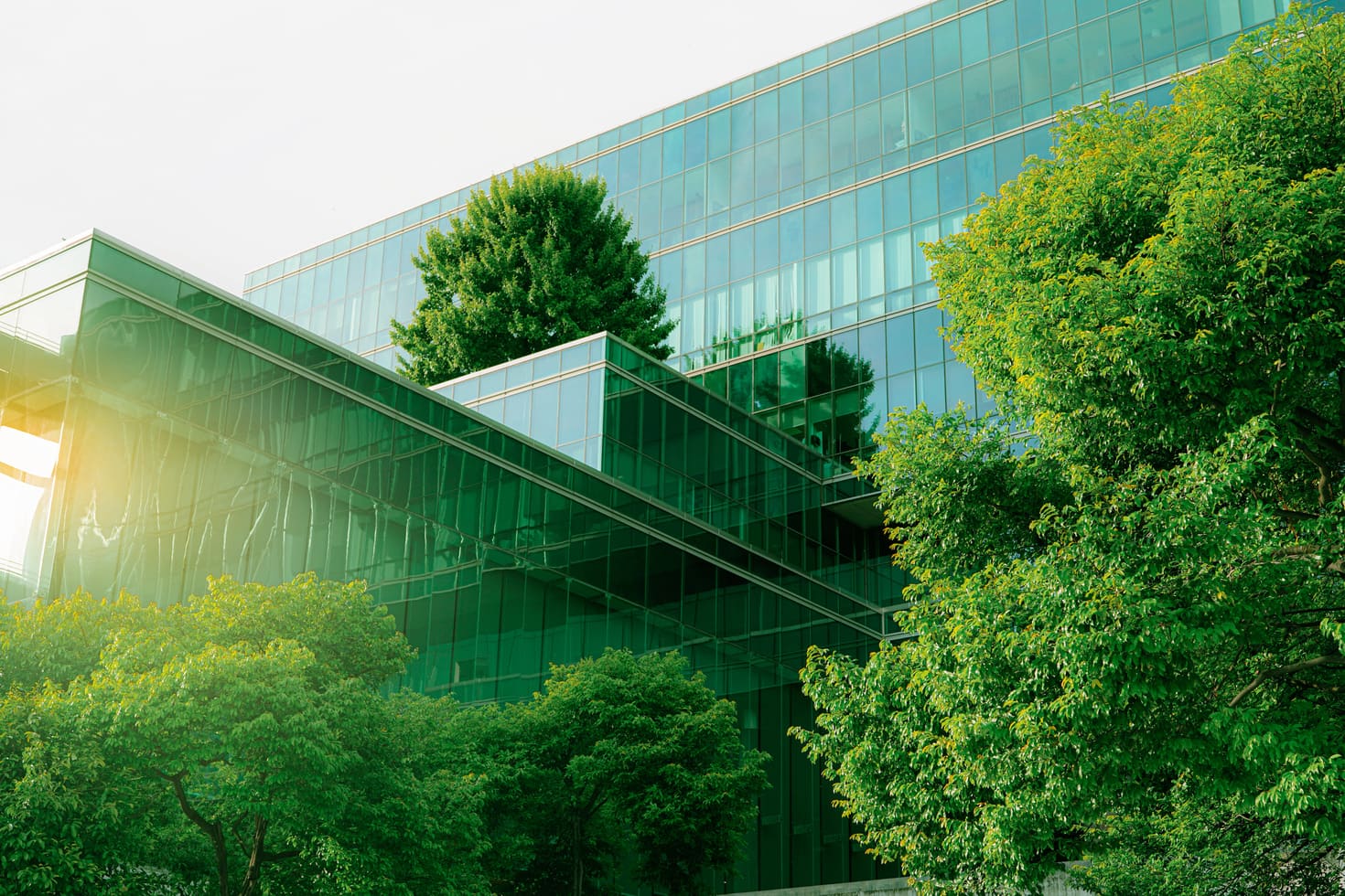 ESG regulatory compliance requirements across global jurisdictions