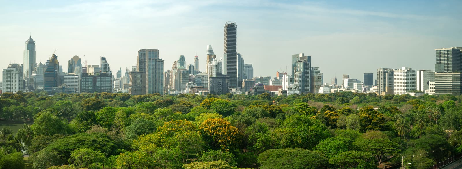 ESG regulations and supplier resilience frameworks